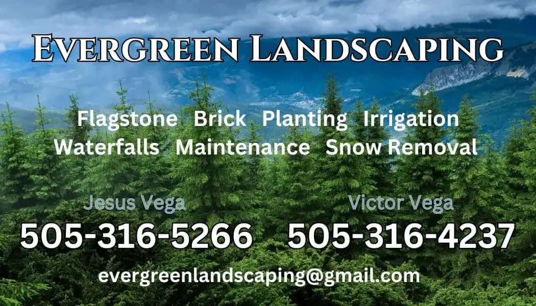 Professional landscaper with gardening tools